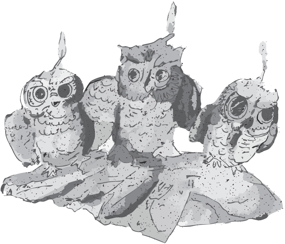 Owl Candle Hoodie